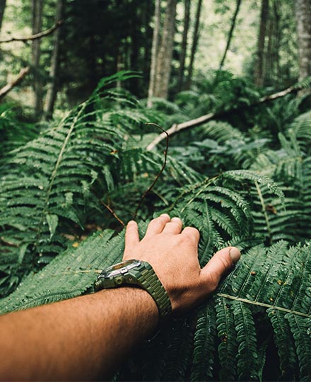 Explorer In Jungle