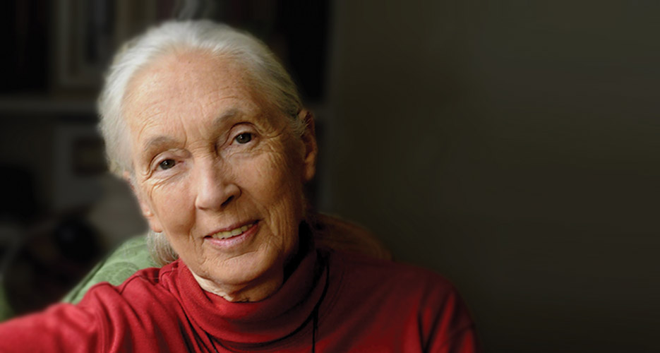 Jane Goodall 