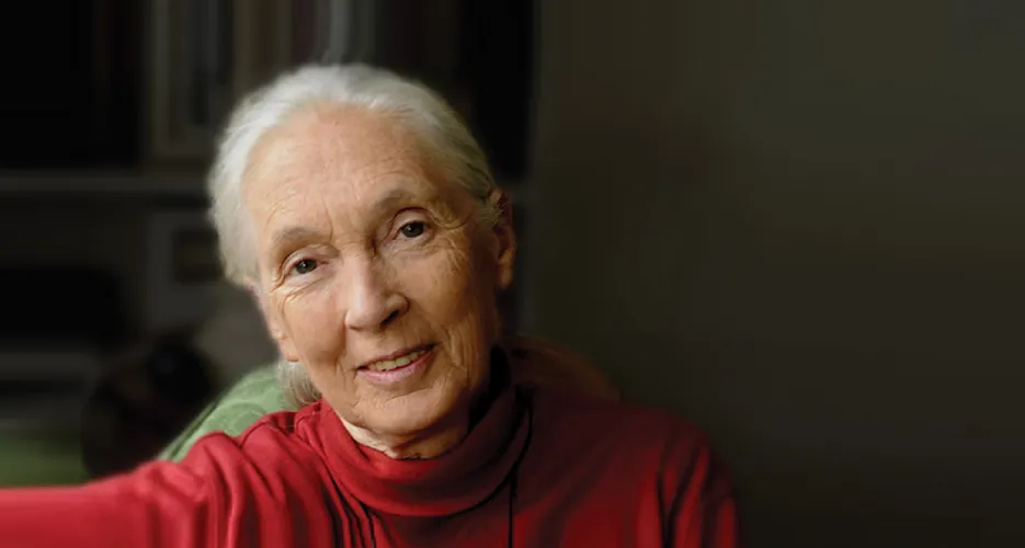 Jane Goodall official speaker profile picutre